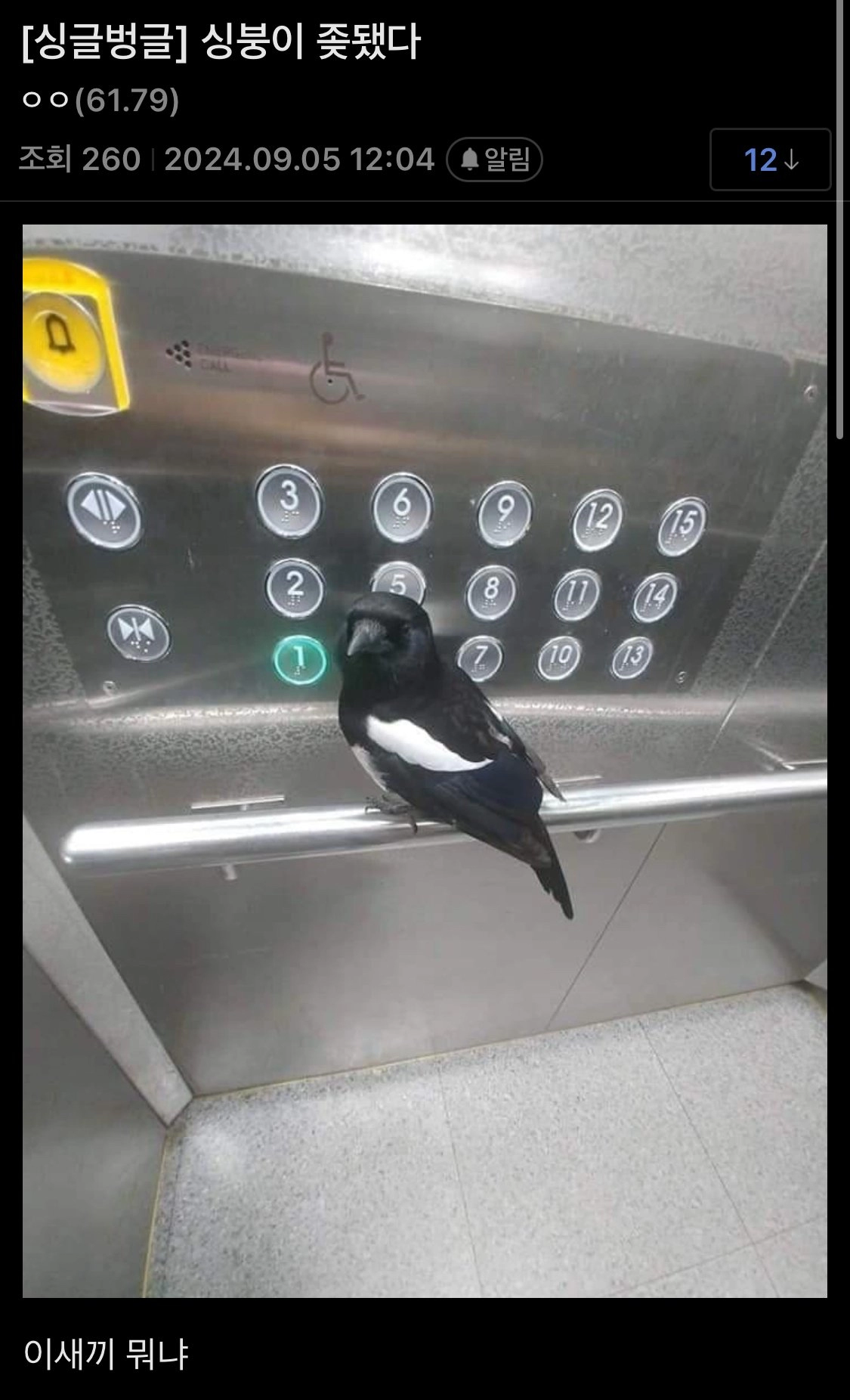 엘리베이터 탔는데 ㅈ됨