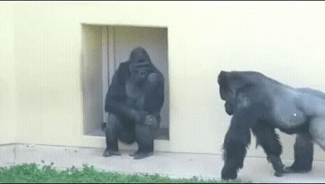 필승!! 경계 중 이상 무!