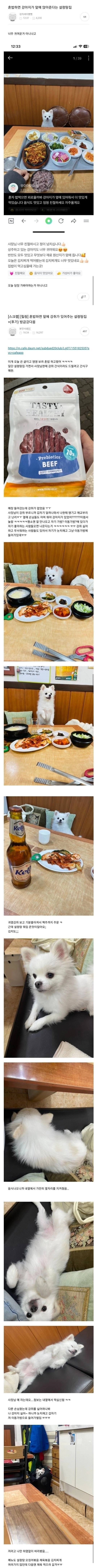 혼밥하면 강아지가 앞에 앉아준다는 설렁탕집