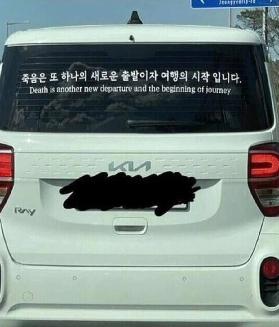 요새 초보운전 스티커 근황