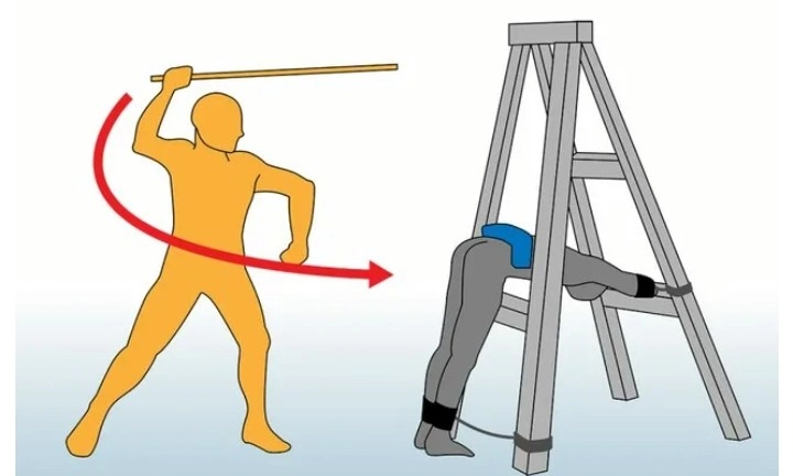 싱가포르에서 여대생을 성폭행한 일본인