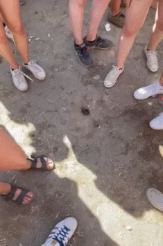 층간소음 레전드