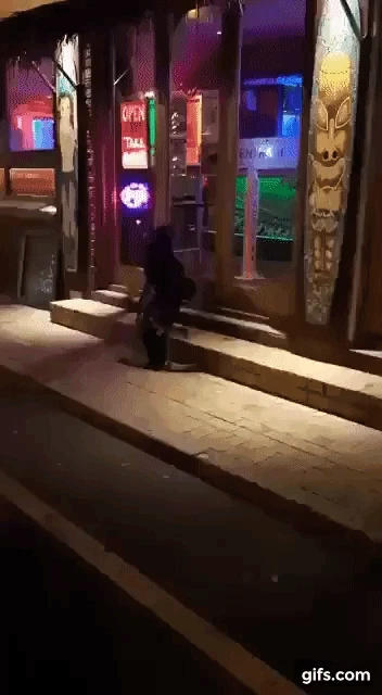 배고파서 레스토랑에 찾아온 물개