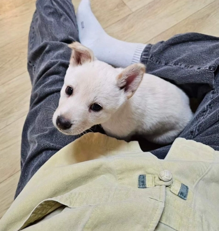 운동할수록 스스로의 몸에대한 생각 바뀐게 너무 웃김