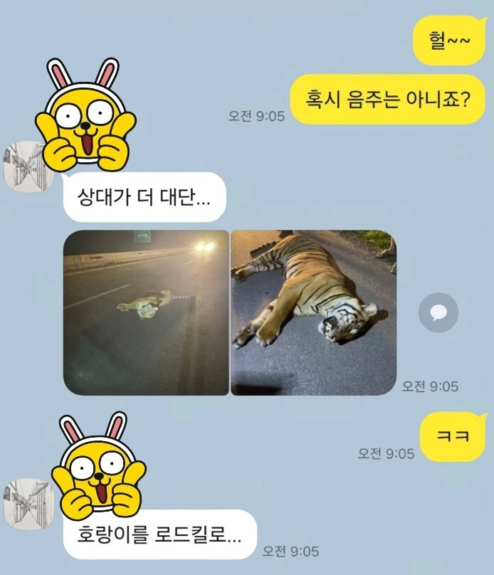 교통사고 레전드 갱신 ㄷㄷ