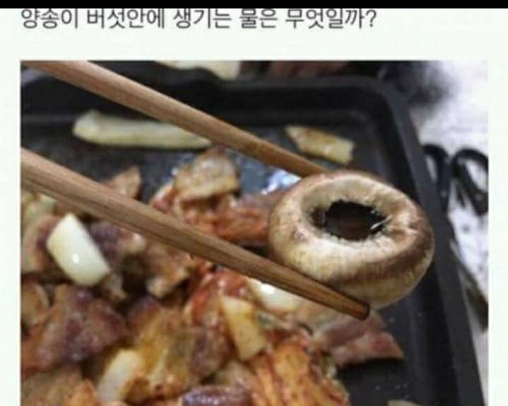 양송이버섯 안에 생기는 물 정체.....