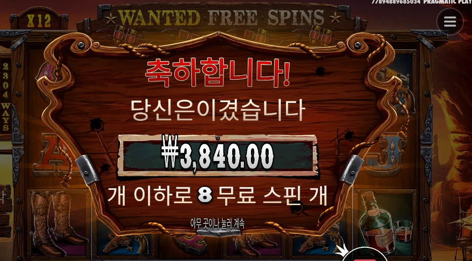 더 와일드 갱 8스핀