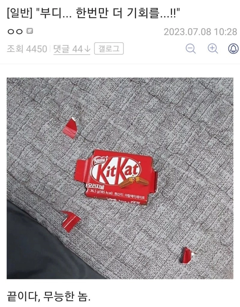 부디 한 번 더 기회를..!