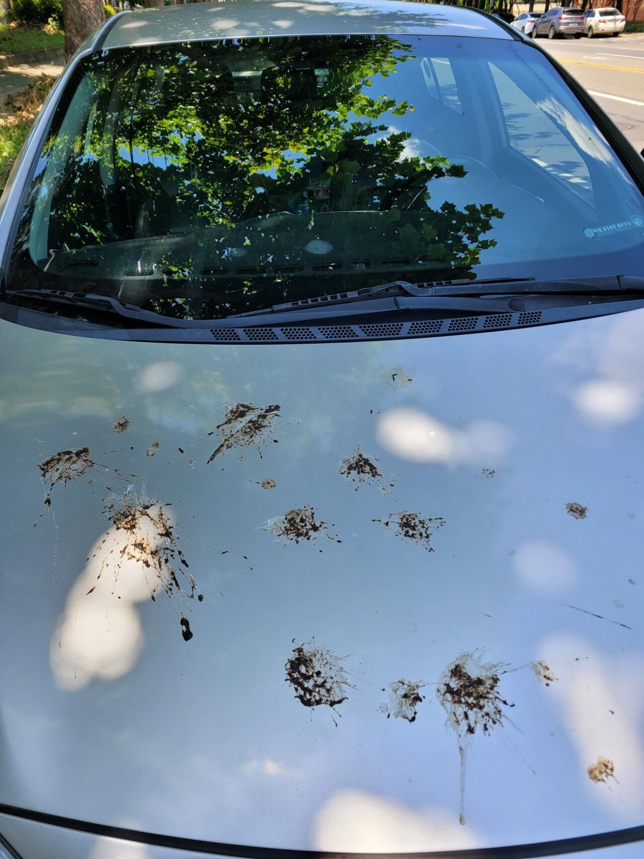 전깃줄 밑에 주차하면 안되는 이유