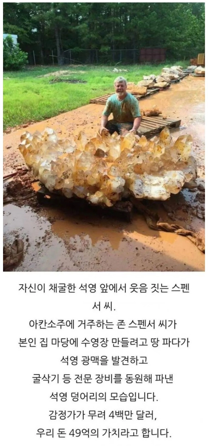 마당있는 집을 사야하는 이유