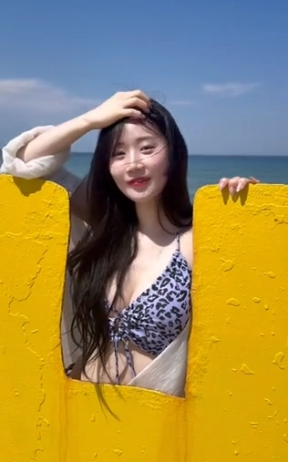 비키니 누나 모음집