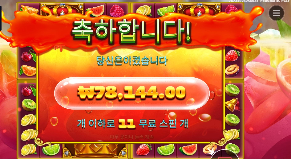 주시 후르츠 멀티홀드 １１스핀