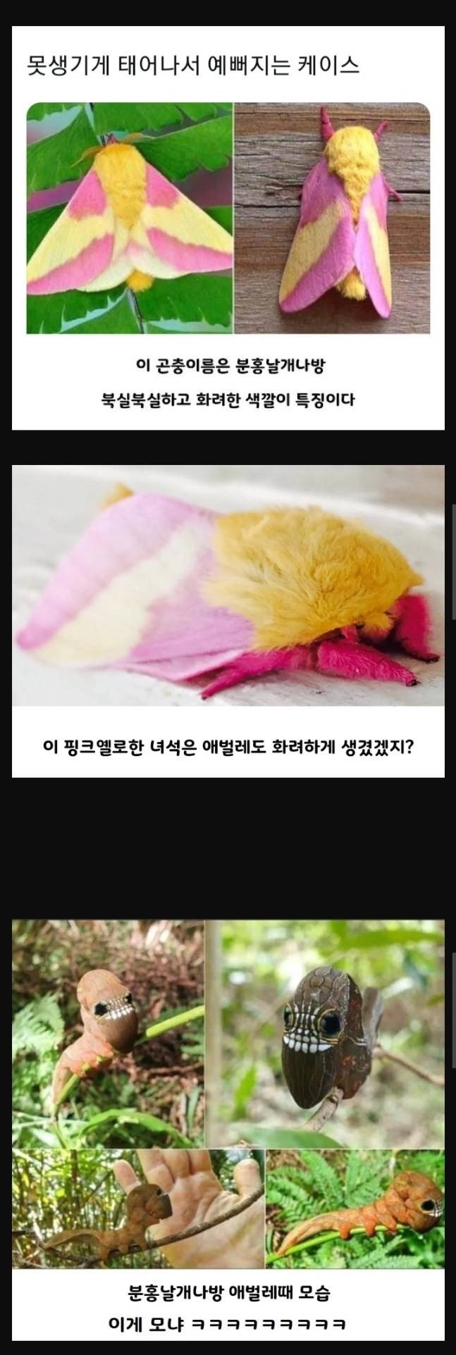 못생기게 태어나서 예뻐지는 케이스