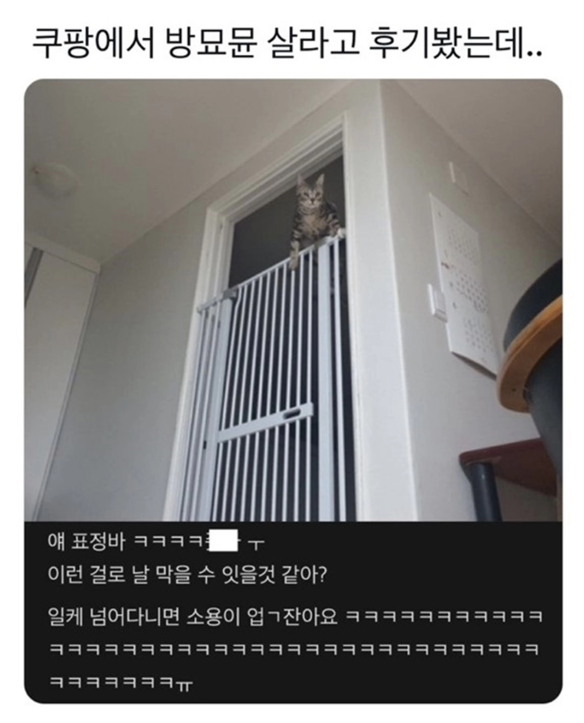 쿠팡 방묘문 후기