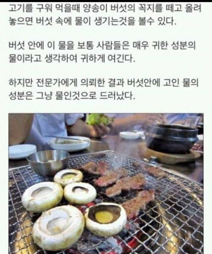 양송이버섯 안에 생기는 물 정체.....