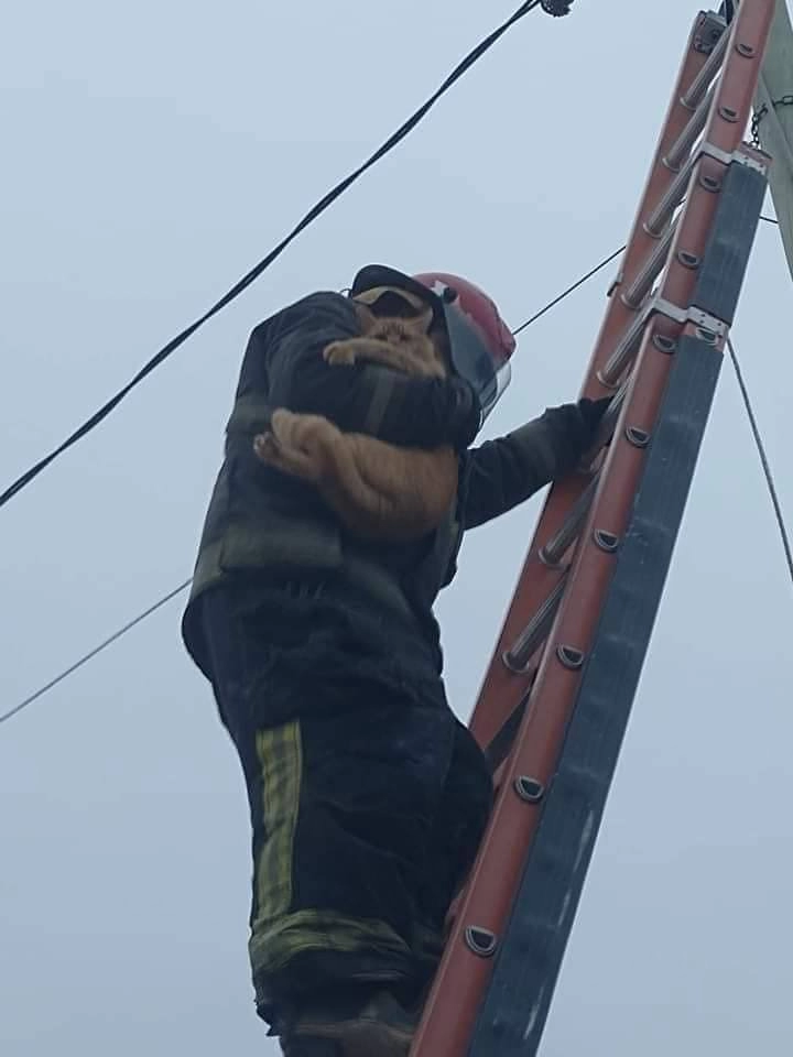 냥줍 난이도 최상