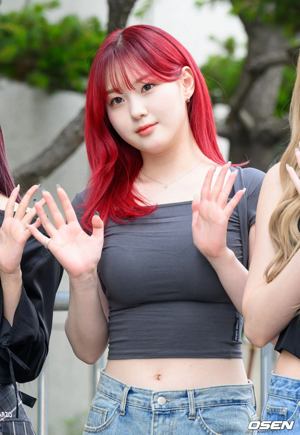 가슴 대장은 케플러 김채현 브라컵 비치는 거대한 회색 크롭티