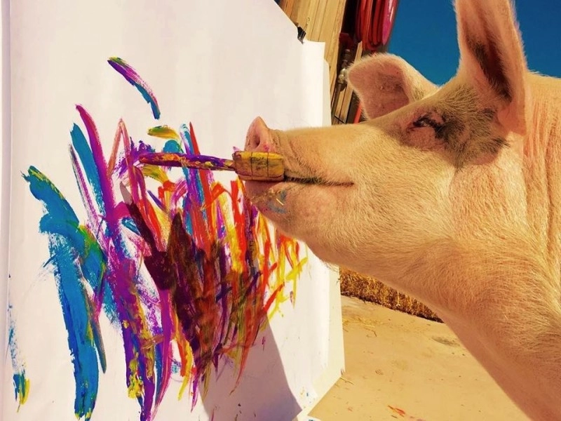 3100만원, 역대 최고가 그림을 판 돼지화가 '피그카소'