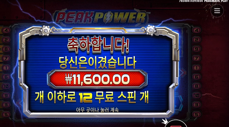 피크파워 12스핀