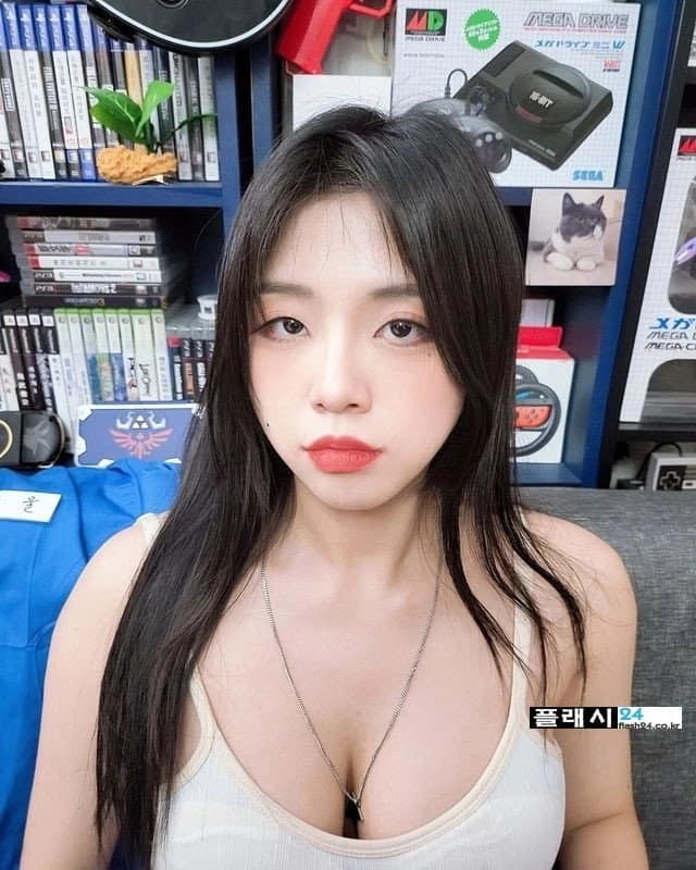 해까닥여울이 방송정지 당한 미드노출 의상