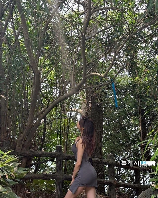 꽉찬 미드 소유자 등산하는 명아는 오또케