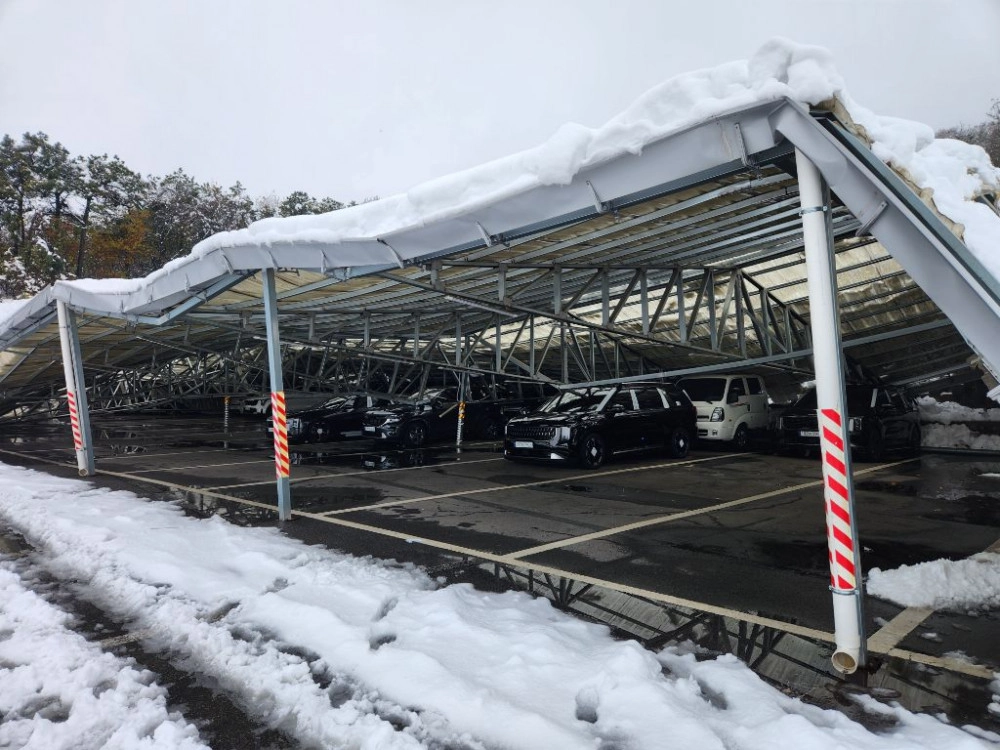 ㅎㄷㄷ 신차 집하장 근황 - 보배드림