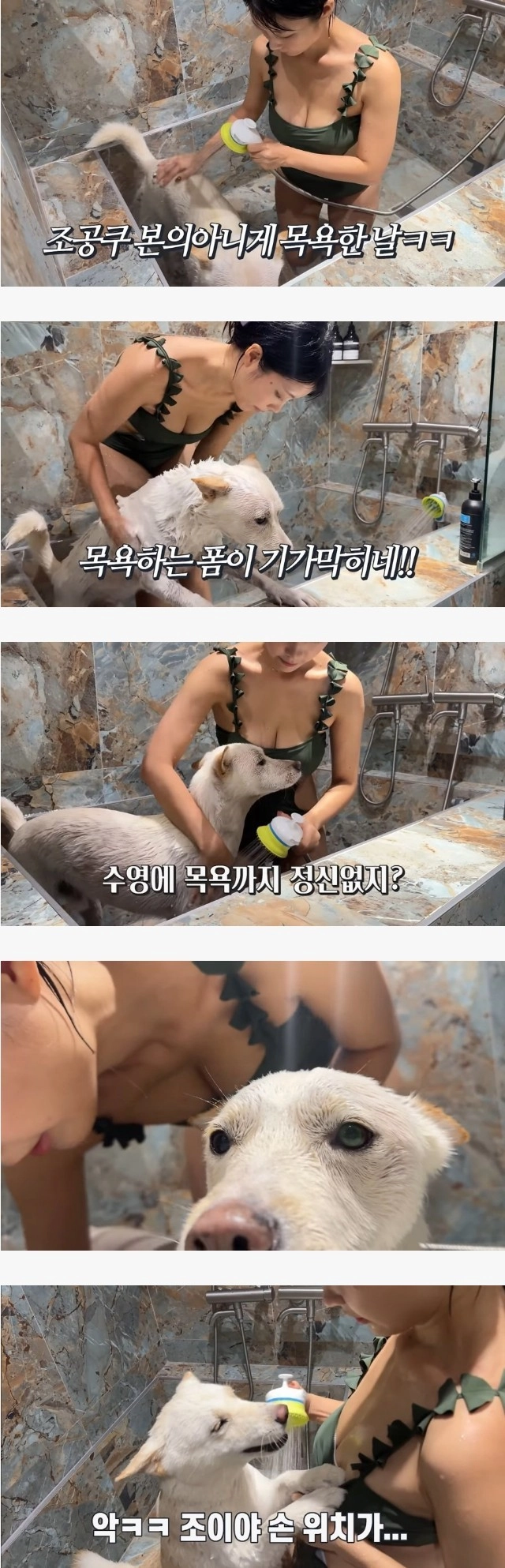 진돗개 목욕시키는 유튜버 개조이TV 집사님 수영복 가슴골