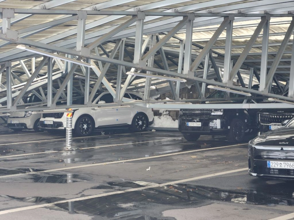 ㅎㄷㄷ 신차 집하장 근황 - 보배드림