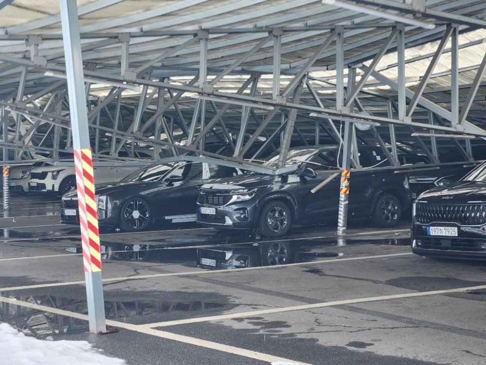 ㅎㄷㄷ 신차 집하장 근황 - 보배드림