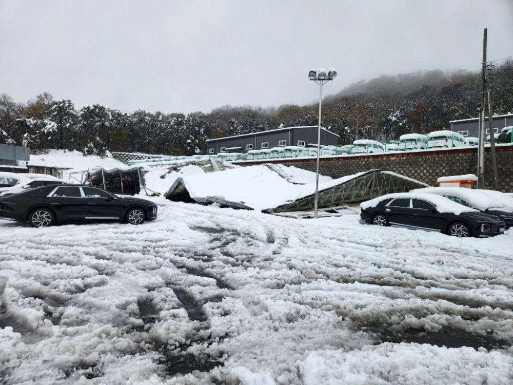 ㅎㄷㄷ 신차 집하장 근황 - 보배드림