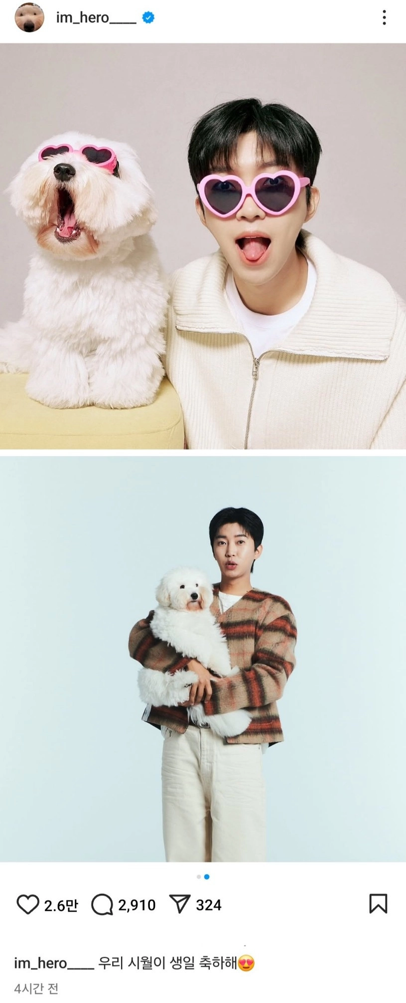 '제가 정치인인가요?' 난리난 임영웅 발언