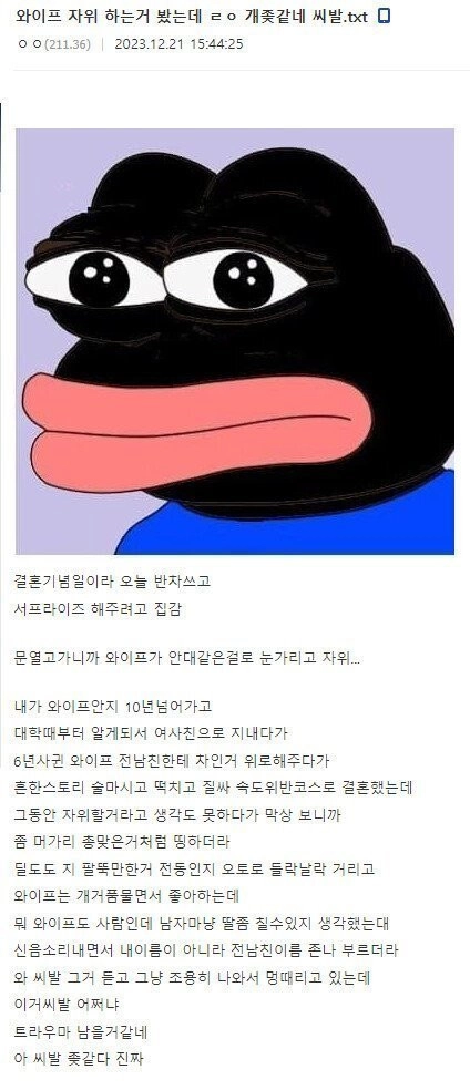 19금 ㅈㅇ하는 와이프 모습을 목격한 남편