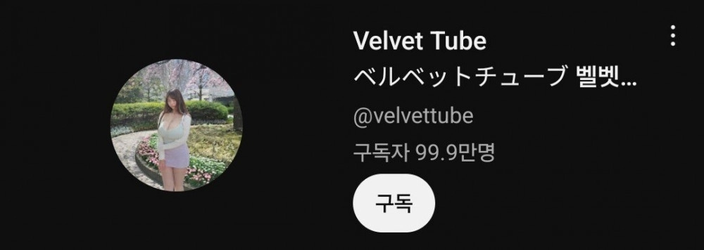 음식점에서 갑질했던 거유 여캠 벨벳 근황