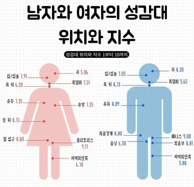 남녀 성감대 위치와 지수