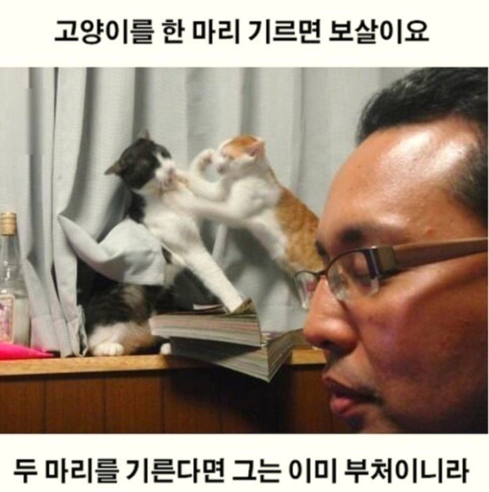 보살이 되는 법 ㅋㅋ