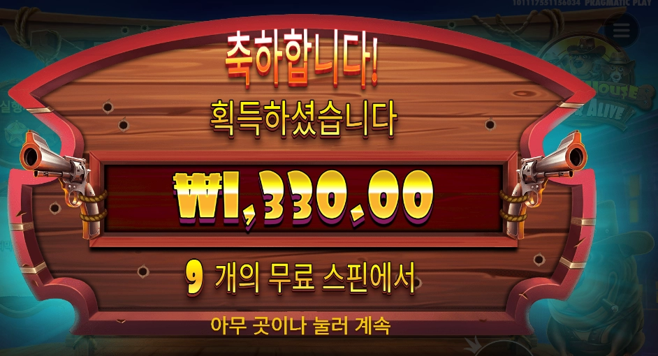 개집 9스핀