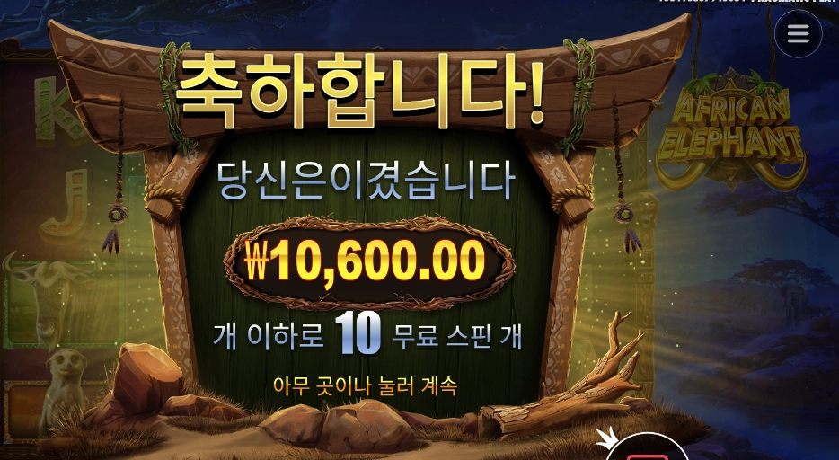 아프리칸 앨리펀트 1콩