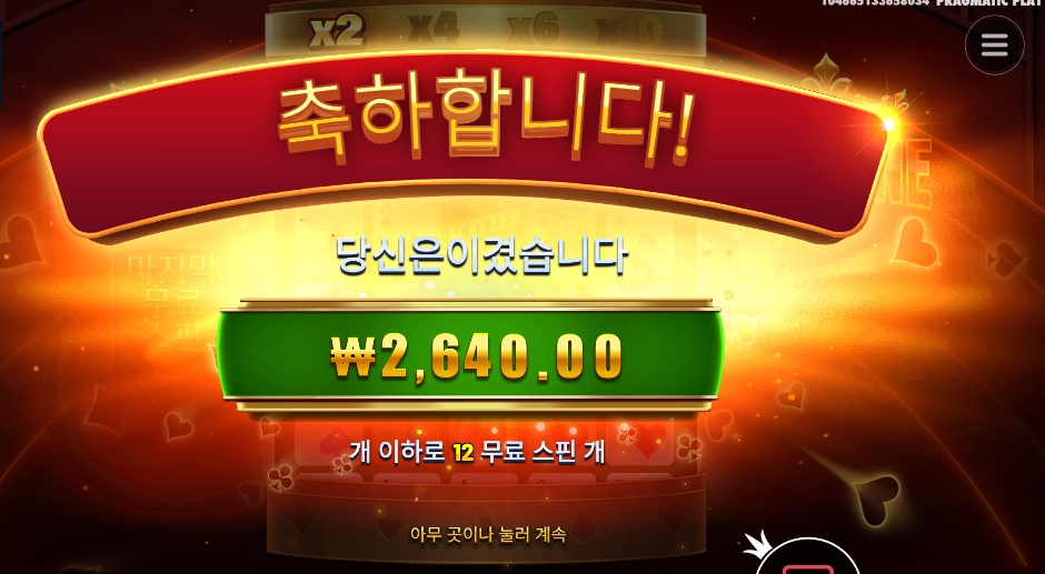 포춘 에이스 12스핀