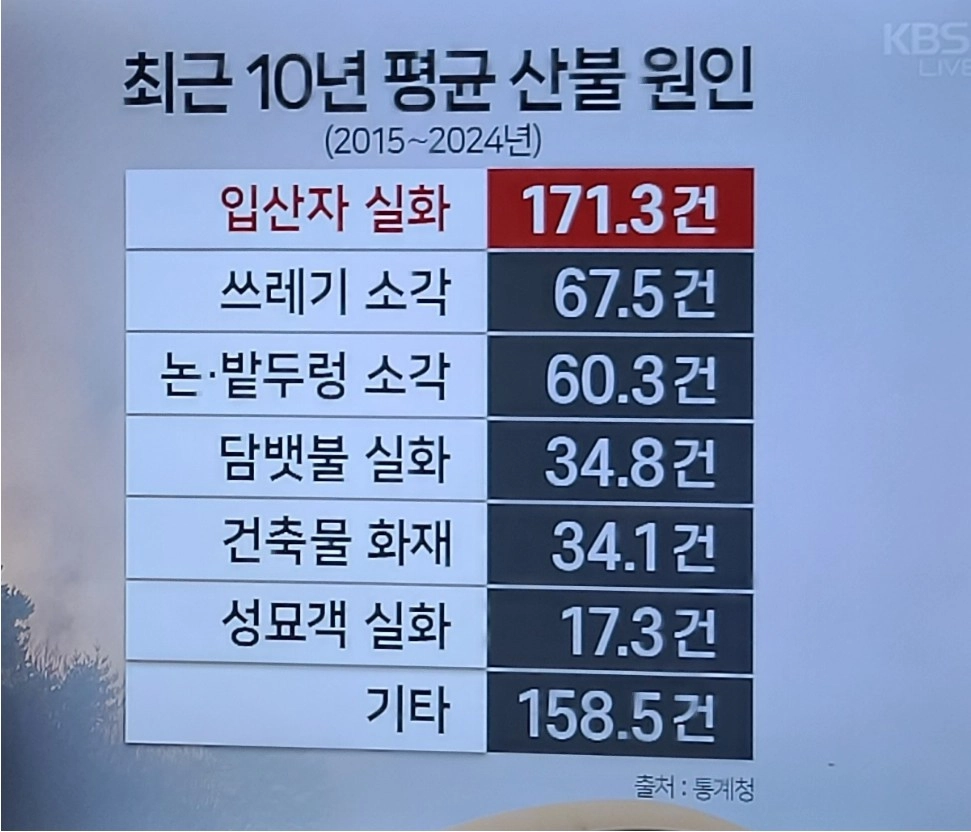 통계청이 털었다 최근 10년 산불 원인 순위 공개