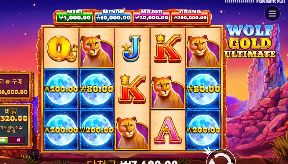 울프 골드 올티메이트 메가 한방