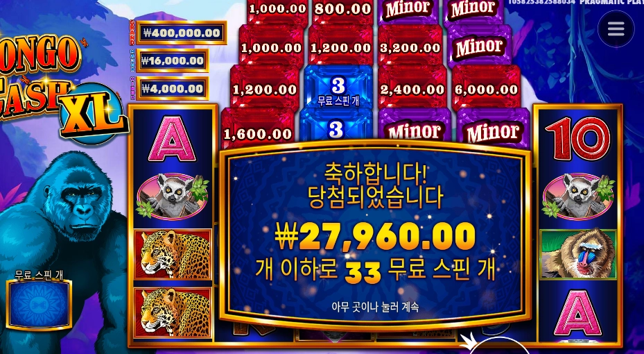 콩고 캐시 XL 33스핀