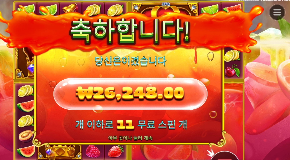 쥬시 후르츠 멀티홀드 ２６천원