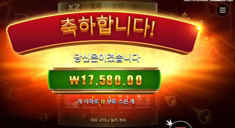 포춘 에이스 １２천원 배팅