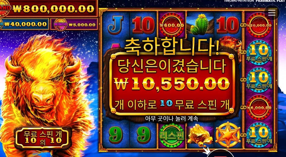 오늘은 너닷 스탬피드