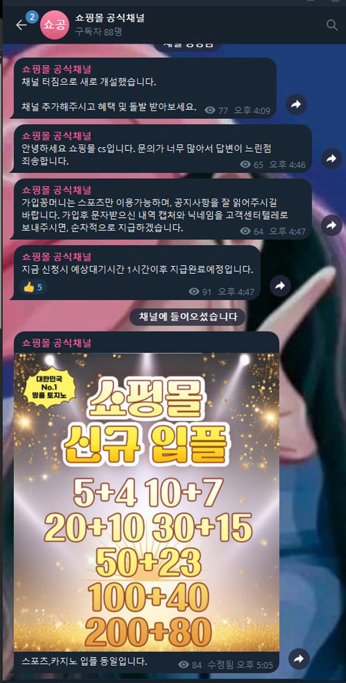 쇼핑몰 먹튀사이트 쇼핑몰 먹튀확정 쇼핑몰 먹튀