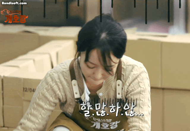 아나운서 박선영 가슴골 강아지 돌보다가 방심한 순간 포착