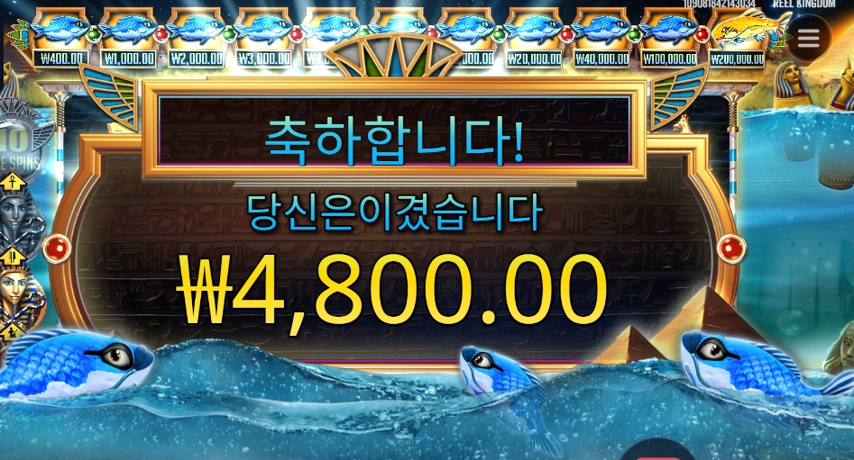 피시 아이 이럴기가