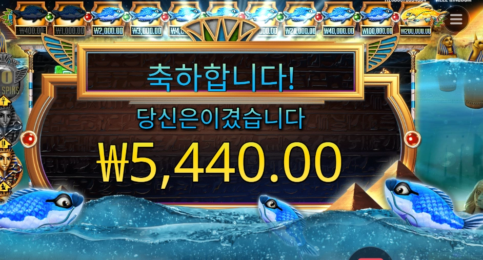 피시 아이 5천원