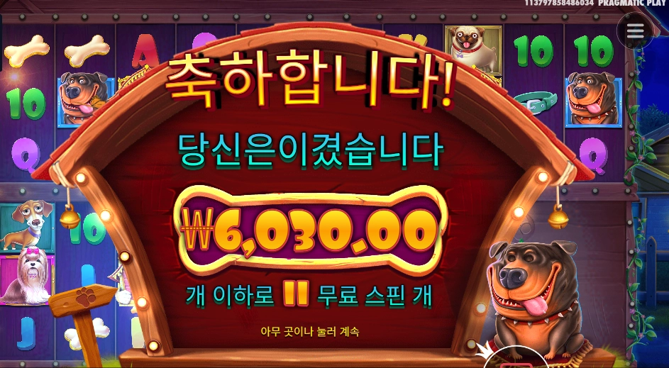 더 도그 하우스 멀티홀드 11스핀