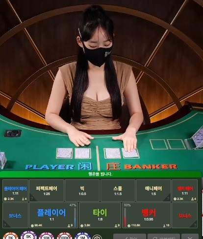 섹시게이밍 후기